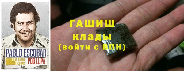 стаф Бородино