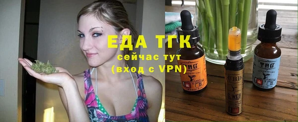 стаф Бородино