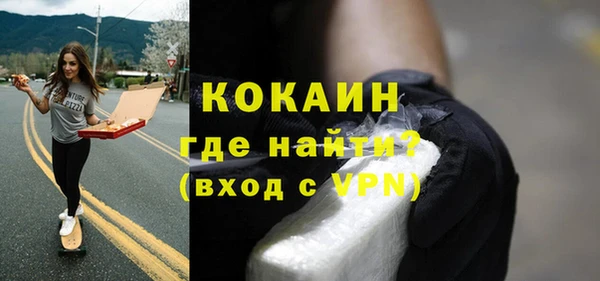 индика Бронницы