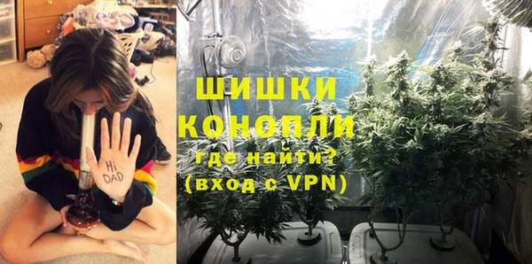индика Бронницы