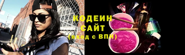 индика Бронницы