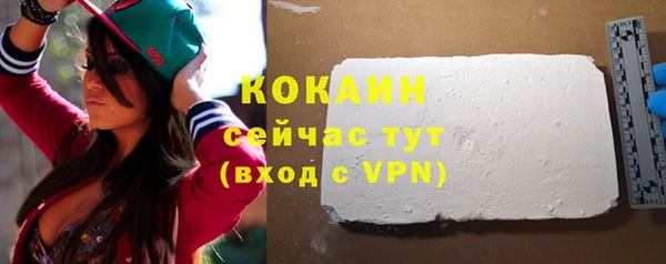 индика Бронницы