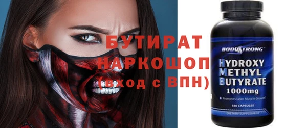индика Бронницы