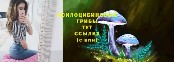 индика Бронницы