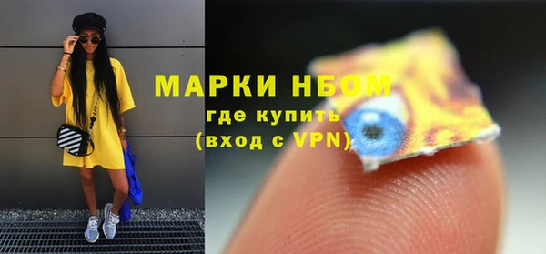 стаф Бородино