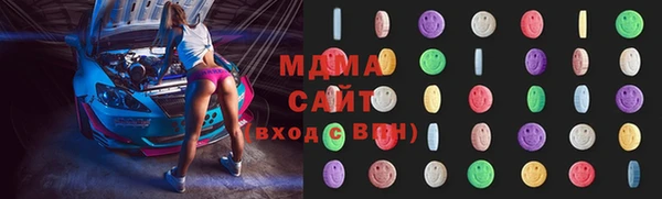 индика Бронницы