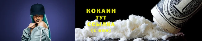 стаф Бородино