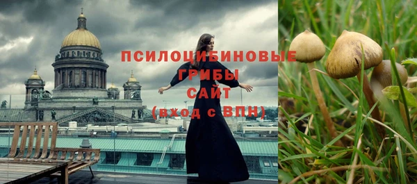стаф Бородино