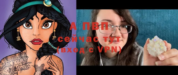 стаф Бородино