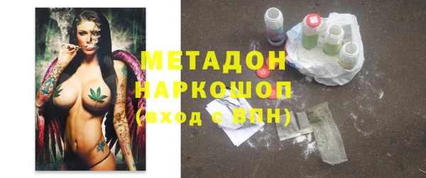 индика Бронницы