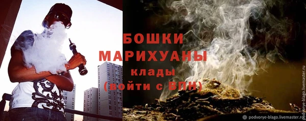 индика Бронницы