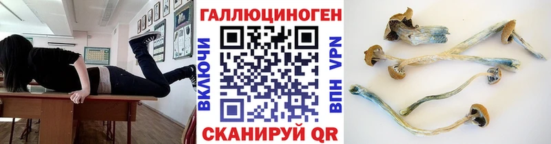 Галлюциногенные грибы ЛСД  Мураши 