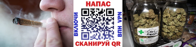 Бошки Шишки гибрид  цены   Мураши 